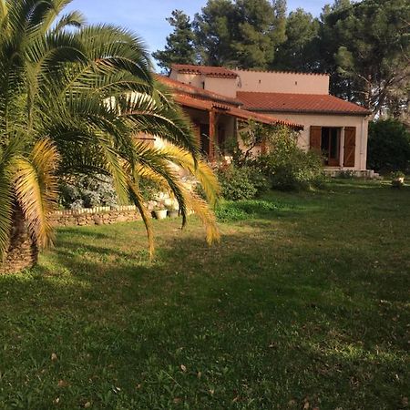 Les Alberes Bed & Breakfast Sorède Exterior foto